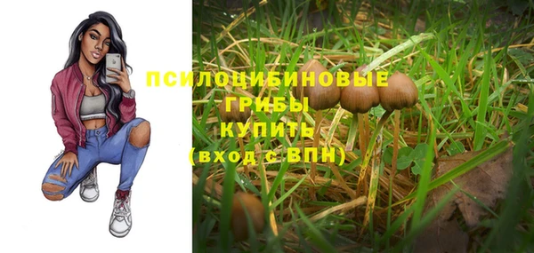 спиды Арсеньев