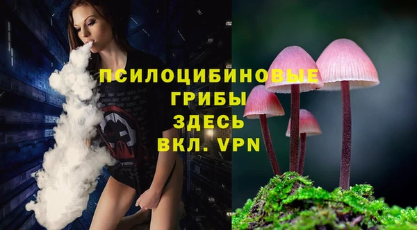 спиды Арсеньев