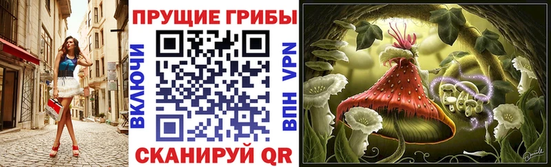 Галлюциногенные грибы GOLDEN TEACHER  цена   Покров 